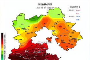 2019-20赛季后 詹姆斯缺阵浓眉出战时湖人24胜30负